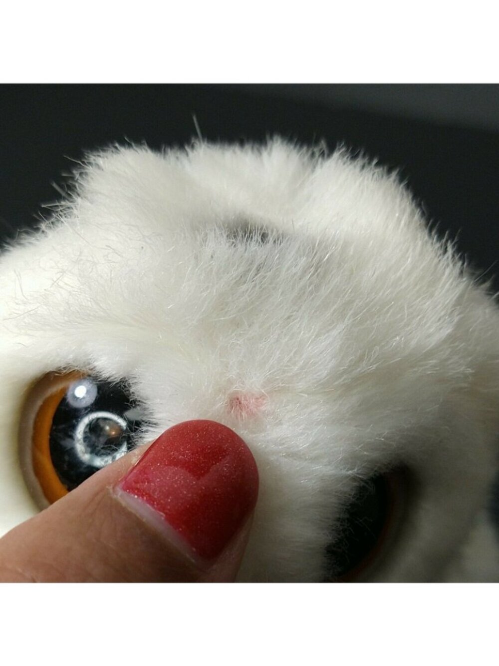 White Black Snowy Owl Plush Stuffed Animal Toy Realistic 7 inch Unbranded - Picture 6 of 6